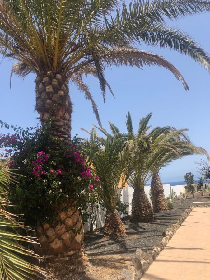 Apartamento La Tortuga De Fuerteventura كوستا دي أنتيجوا المظهر الخارجي الصورة