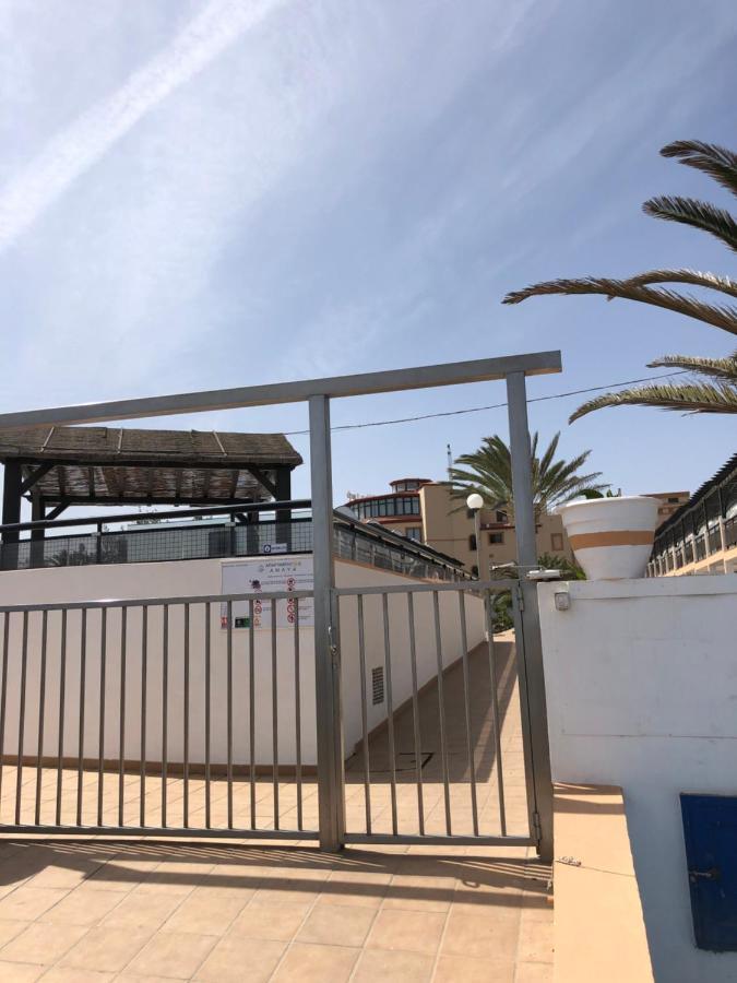 Apartamento La Tortuga De Fuerteventura كوستا دي أنتيجوا المظهر الخارجي الصورة